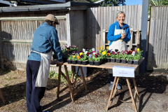 20251004_105201-scaled