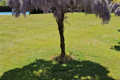 20250509_125212-scaled