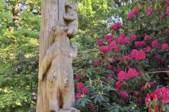 20250509_151631-scaled