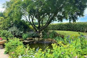 VirtualGarden4
