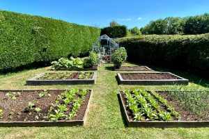 VirtualGarden5